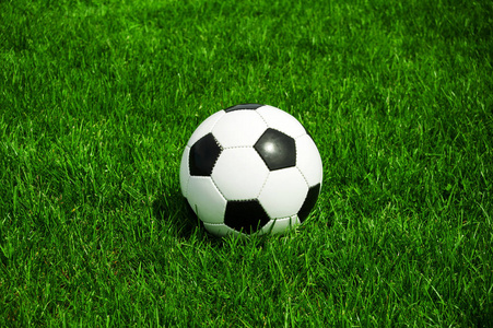 青训教练王教练使用雷速体育app教学